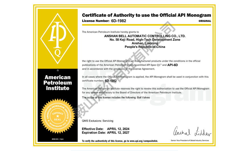 API 6D